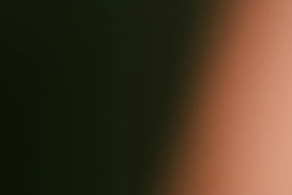 ビーイーティー カジノ サポート